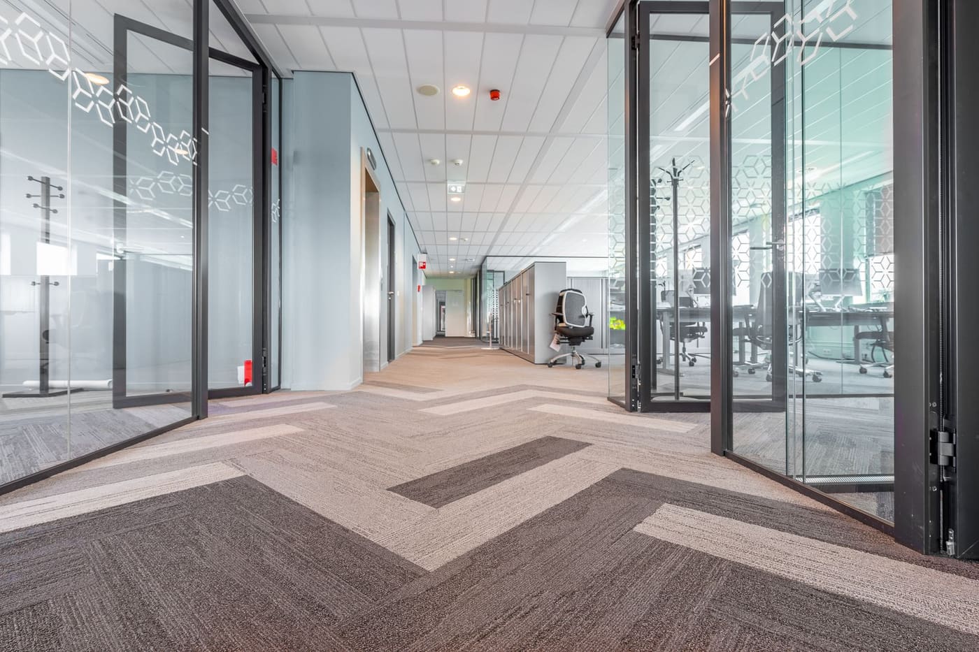 A long, bright office corridor with glass partitions and a patterned carpet